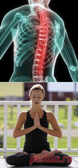 Гимнастика цигун для позвоночника.