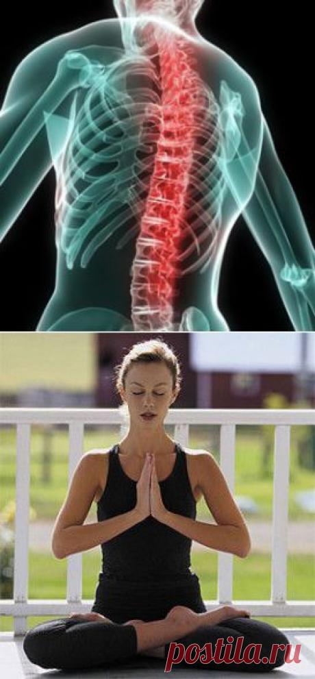 Гимнастика цигун для позвоночника.