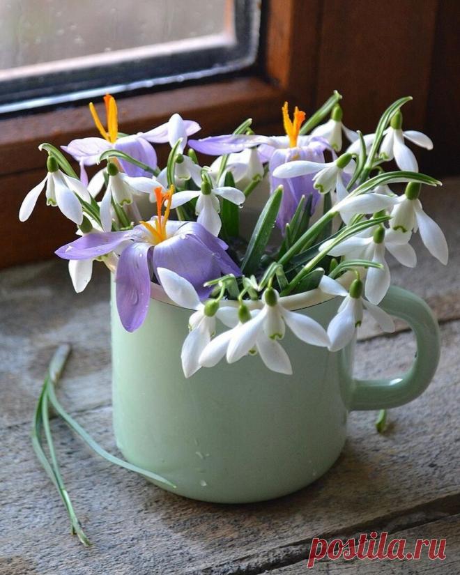 Пусть у каждого будет то...
                что  гораздо Дороже денег.....