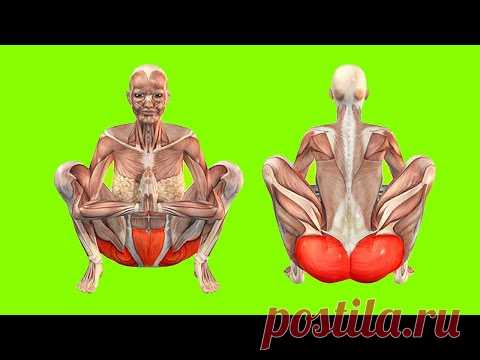 ДЕЛАЙТЕ ЭТО УПРАЖНЕНИЕ КАЖДЫЙ ДЕНЬ И ВАШЕ ТЕЛО ПРЕОБРАЗИТСЯ