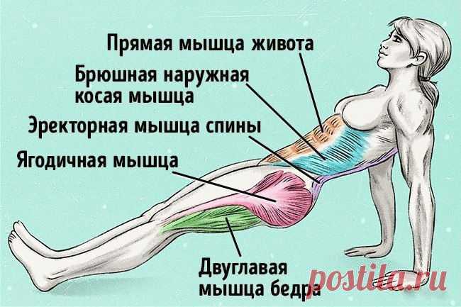 Упражнение, которое поможет сжечь жир и исправить осанку