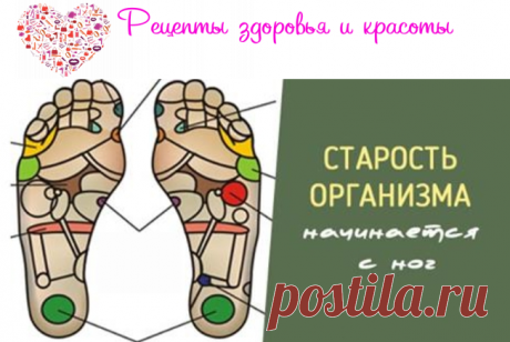 Именно с ног начинается постепенное старение организма, и вот по какой причине… | WebVinegret