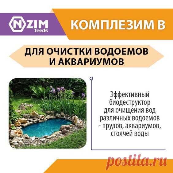 Комплезим В ENZIM ~ Биопрепарат для очистки водоёмов (озеро, ставок, бассейн, аквариум, водохранилище) от загрязнений органического происхождения ★ ЭНЗИМ (Украина) ★ Купить ➟ (067) 582-33-22, (095) 582-33-22