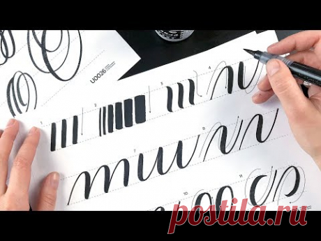 Первый урок по каллиграфии кистью и брашпеном. Разминка.