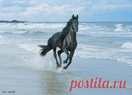Фотографии $Mavlet$ $ - 821 фото в Моем Мире.