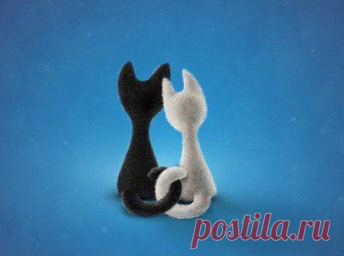 Одноклассники