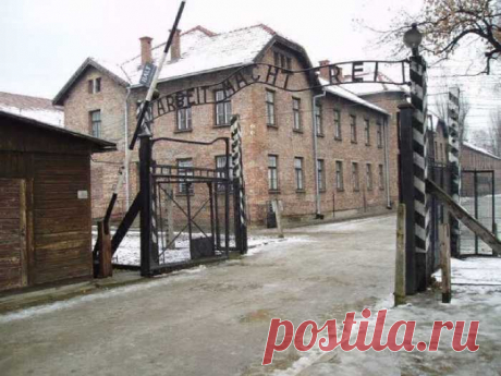 Тайные любовники из Освенцима: Встреча 72 года спустя