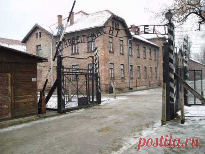 Тайные любовники из Освенцима: Встреча 72 года спустя