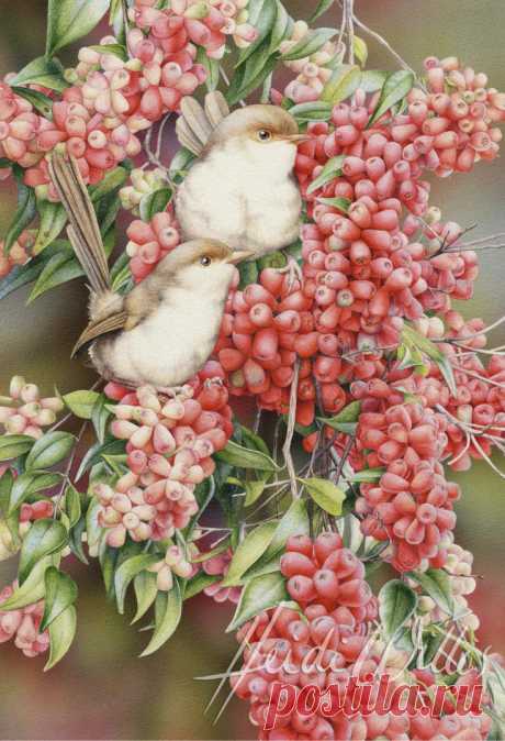 Crista Forest Wildlife Art приколол(а) это к доске Art - Birds | Pint…