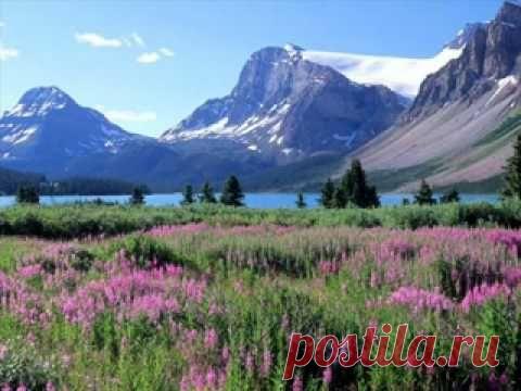 Маленькие шедевры: Карл Мария фон Вебер "Анданте и Венгерское рондо"