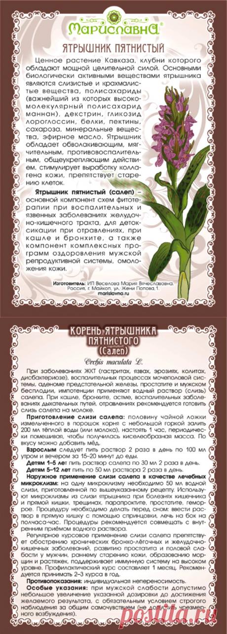 Ятрышник пятнистый