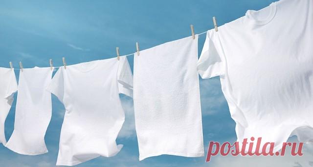 (4) Одноклассники