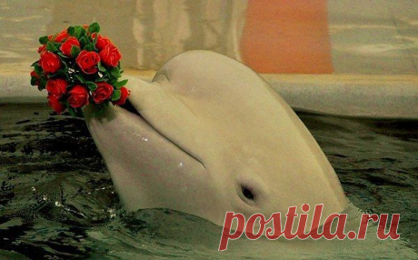 Интересные новости