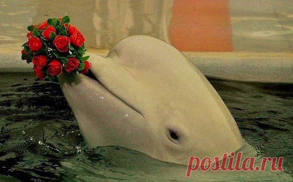 Интересные новости
