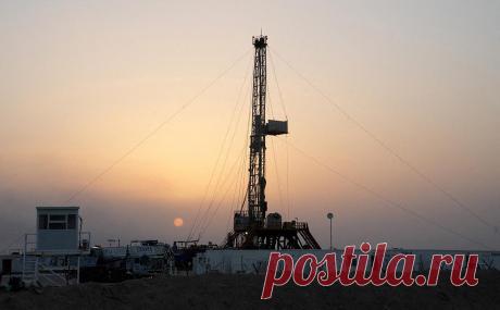 Страны ОПЕК+ договорились об объеме добровольного сокращения добычи. Россия, ОАЭ, Саудовская Аравия, Ирак, Кувейт и другие страны приняли решение о добровольном сокращении добычи нефти в качестве меры предосторожности, направленной на поддержку стабильности нефтяного рынка