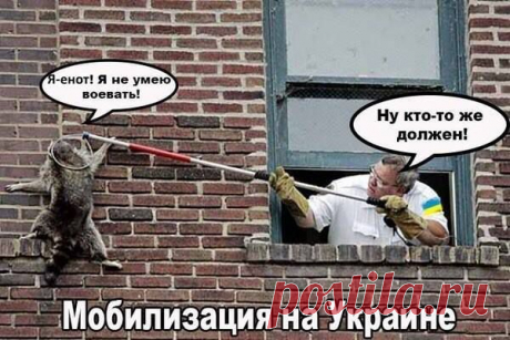 (4) Facebook
