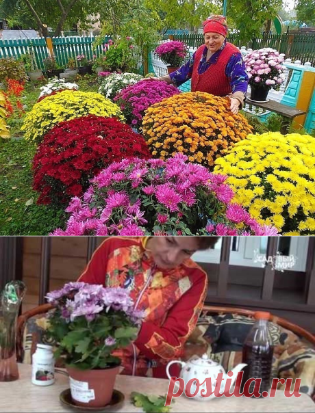 (1) Одноклассники