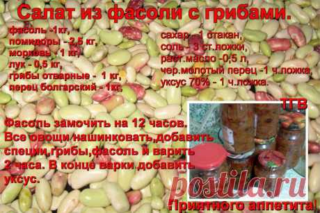 погребок | 37 фотографий