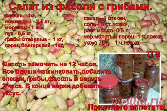 погребок | 37 фотографий