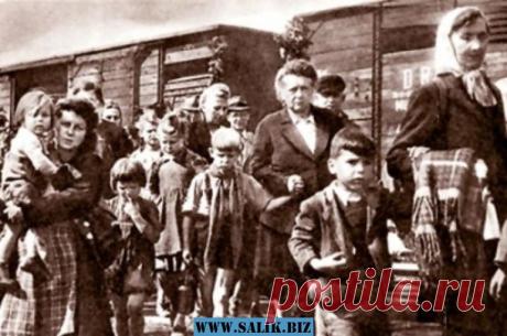 Значит, это только Сталин депортировал народы, да? А о своих депортациях европейцы помалкивают!