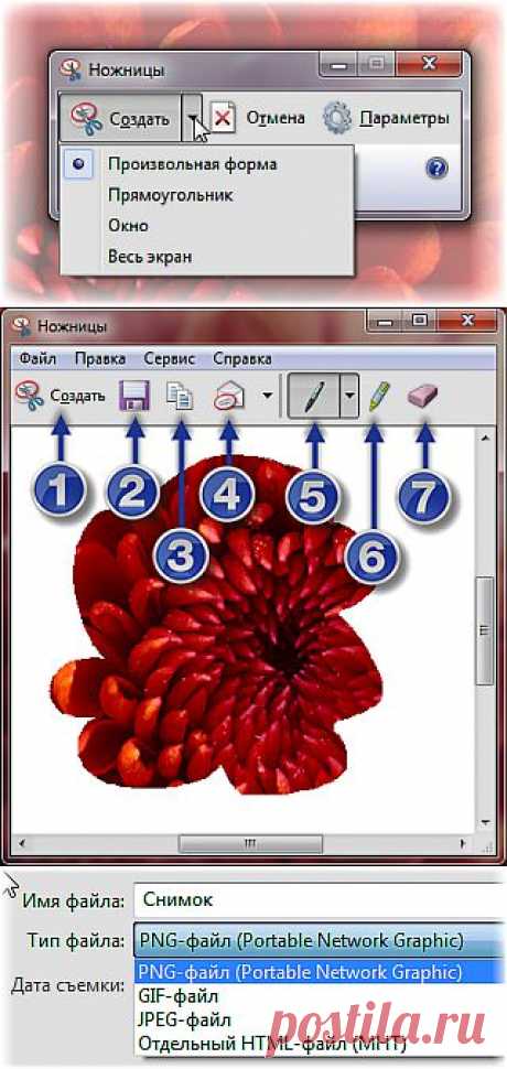 Программа ножницы для Windows 7 | КОМПЬЮТЕРНАЯ АЗБУКА ДЛЯ НАЧИНАЮЩИХ
