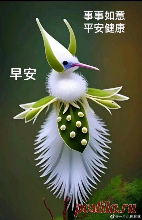 Περιέχει μια εικόνα του: