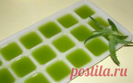 Рецепт молодости: Биостимулированный сок алоэ