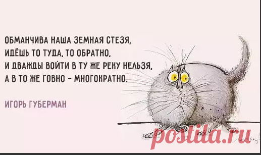 (16) Одноклассники