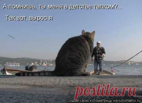 Интересные новости