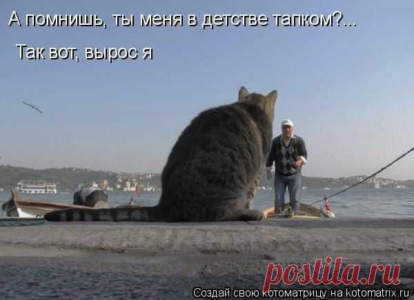 Интересные новости