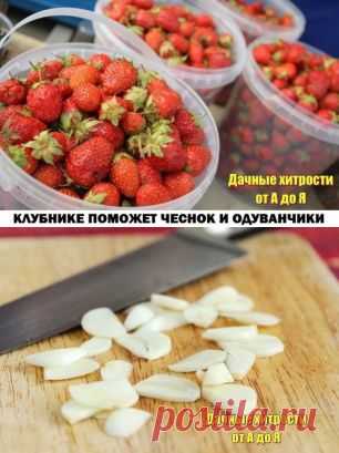 Одноклассники