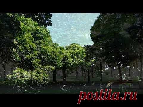 Футаж.  Соловей в городском парке - YouTube