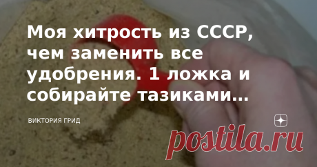 Моя хитрость из СССР, чем заменить все удобрения. 1 ложка и собирайте тазиками богатый урожай клубники и овощей. Многим огородникам, особенно тем, кто являются новичками, неизвестно о том, что осенью надо заниматься эффективным удобрением земли.  Я расскажу вам о своем личном опыте. Обязательно дочитайте статью до конца, внизу будет бонусная информация, которую скрывают все опытные и удачливые огородники и агрономы.  На протяжении всего дачного сезона почва способна отдава...