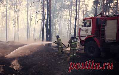 В Крыму потушили природный пожар. Площадь возгорания составляла 5,2 тыс. га