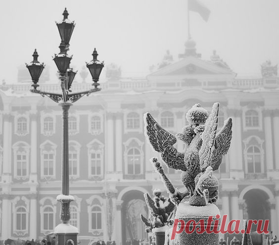 Saint Petersburg | Russia