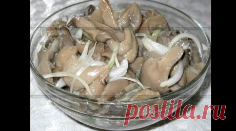 Маринованные вешенки в домашних условиях рецепт