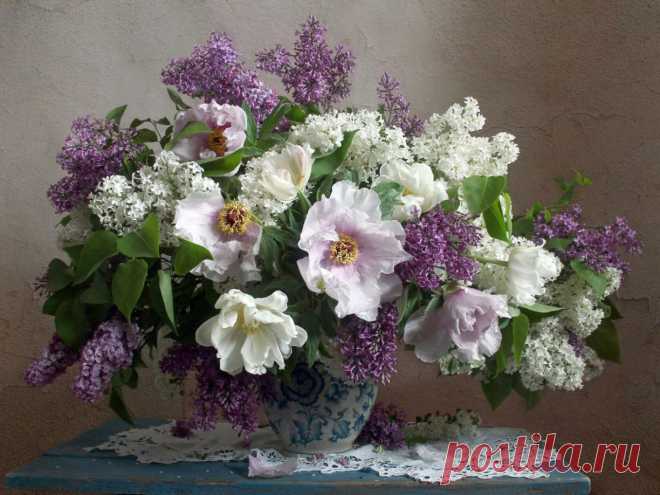 Цветы - стихи природы...