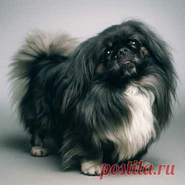 Одна из историй про Титаник - OGADANIE.RU