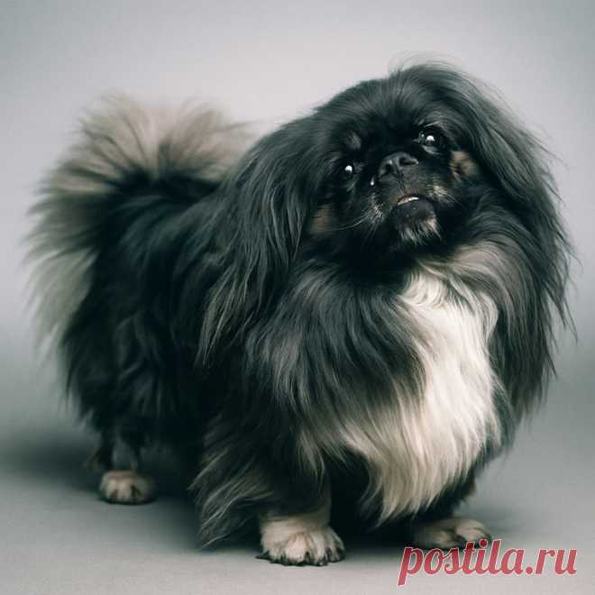 Одна из историй про Титаник - OGADANIE.RU