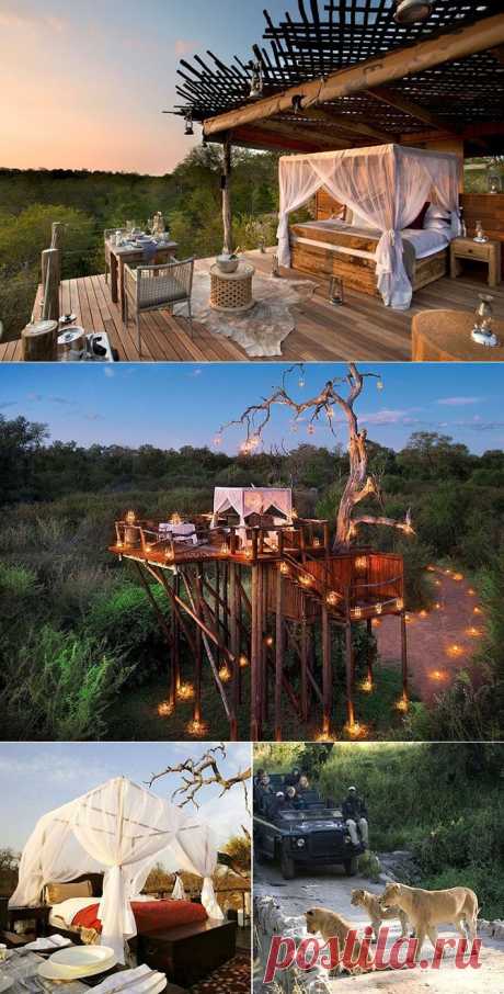 Lion Sands Game Reserve – экзотический отель в Южной Африке.

Прочувствовать дыхание дикой природы максимально близко позволит отель Lion Sands Game Reserve. В некоторых из 14 номеров спальни расположены прямо под открытым воздухом. Звездное небо, звуки ночи – романтики, конечно же, там, хоть отбавляй. Но все же понимание, что дикие звери ходят где-то по близости, не дают покоя отдыхающим.