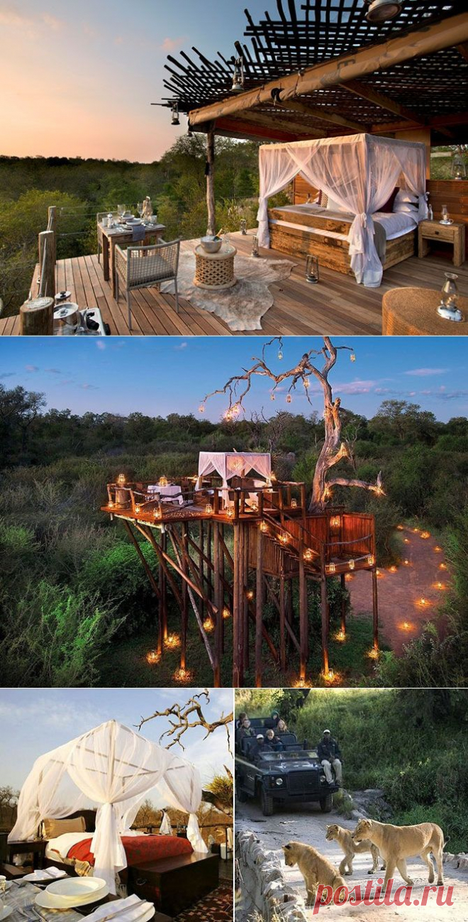 Lion Sands Game Reserve – экзотический отель в Южной Африке.

Прочувствовать дыхание дикой природы максимально близко позволит отель Lion Sands Game Reserve. В некоторых из 14 номеров спальни расположены прямо под открытым воздухом. Звездное небо, звуки ночи – романтики, конечно же, там, хоть отбавляй. Но все же понимание, что дикие звери ходят где-то по близости, не дают покоя отдыхающим.