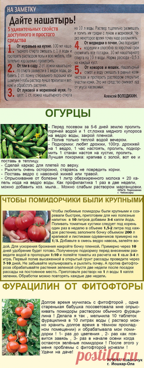 (13) Одноклассники