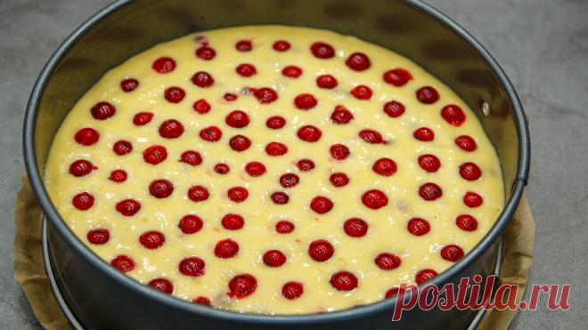 Пока есть свежие ягоды готовлю вкусный пирог на кефире: каждый день новый вкус (просто, быстро и недорого) | Евгения Полевская | Это просто | Дзен