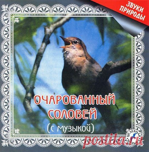 Плейкаст «Доброе утро»