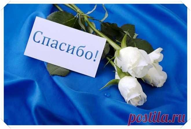 поздравление ко дню спасибо: 10 тыс изображений найдено в Яндекс.Картинках