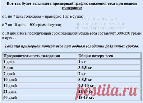 #помощь | 6 536 фотографий