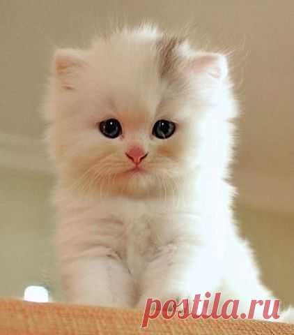 УРЖАТЬСЯ (16+)
Борис Леонидович