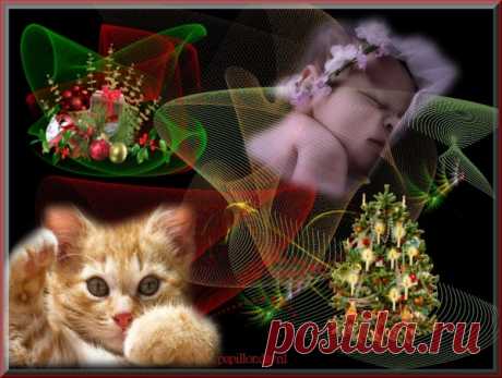 fond d ecran