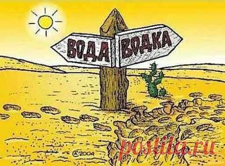 по следам видно