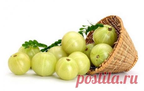 Амла для укрепления волос — изумрудное колдовство